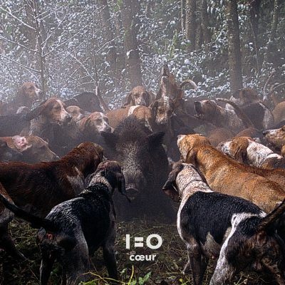 1=0 « Cœur »