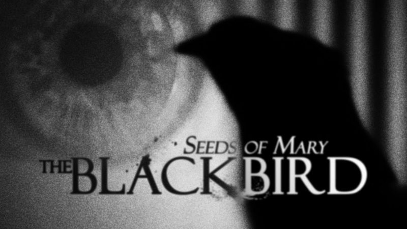 Un titre, un jour : The Blackbird de Seeds of Mary