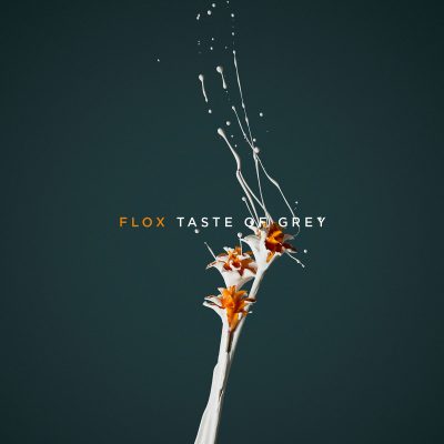 Flox « Taste of grey »