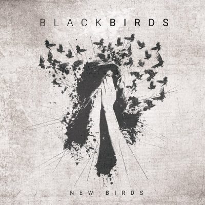 Blackbirds « New birds »