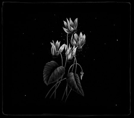 Candelabre « Candelabre »