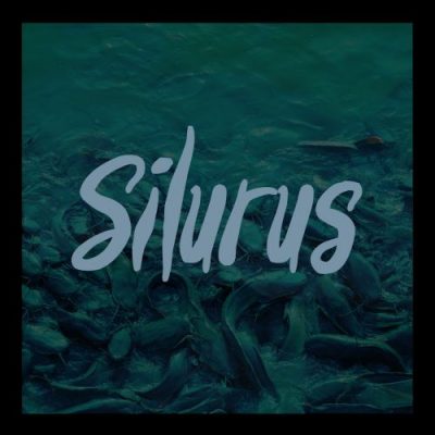 Silurus « Silurus »