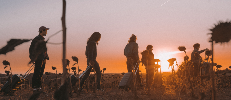 Le titre du jour : Jungle yes de Ceylon
