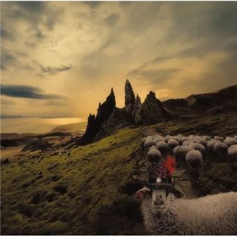 Franck Carducci « Sheeple »