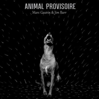 Marc Gauvin & Jim Barr « Animal provisoire »